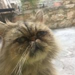 Stephanie Lippert - @stephanie.lippert - Instagram