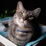 Stephanie Franck Loehr - @franckloehr - Instagram