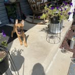 Stephanie Maple - Facebook