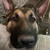 stephaniemaples67 - @stephaniemaples67 - TikTok