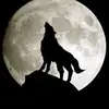 Stephanie Markley - @user5014834551014 - TikTok
