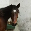 stephanie martel - @stephaniemartel62 - TikTok
