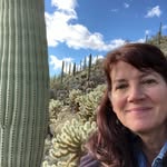 Stephanie Matlock - @dear_mice - Instagram