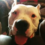 Stephanie Mccombs - @mccombs.stephanie - Instagram
