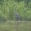 stephanie mccombs - @stephanie.mccombs - TikTok