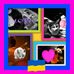 Stephanie Hope McDevitt - Facebook