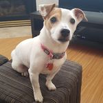 Stephanie Mcfarlane - @steviemac3070 - Instagram