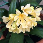 Stephanie McGriff - @mcgriff1386 - Instagram