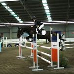Stephanie McHenry - @stephanie.eventing - Instagram