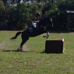 Stephanie Mchenry - @eventing.cougar - Instagram