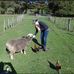 Stephanie McHenry - Facebook