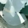 Stephanie McPhail577 - @stephaniemcphail50 - TikTok