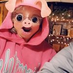 Stephanie Mellinger - @mellingerlager - Instagram