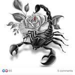 Stephanie Mickel - @stepmickel - Instagram