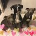 Stephanie Minton - Facebook