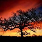 Stephanie Moser Crean - @58brobuzz - Instagram