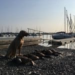Stephanie Moser - @anton.bacchusvomgrauenursprung - Instagram