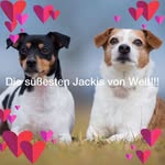 Stephanie Nallaweg - @nallawegstephanie - Instagram