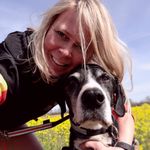 Stephanie Neubert - @steffi_sulerunners - Instagram