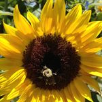 Stephanie Ogle - @skonlf0320 - Instagram
