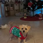 Stephanie Eller - Facebook