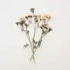 Stephanie_Omar - @Stephanie_Omar - TikTok