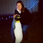 Stephanie O'Neil - @steph_oneil_716 - Instagram
