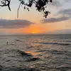 Stephani Parham - @stephani.parham - TikTok