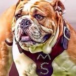 Stephanie Parham Philip - @iluvbulldawgs - Instagram