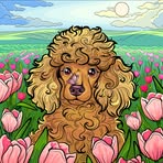 Stephanie Parris - Facebook