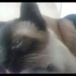 Stephanie Peterman - @just_call_me_stef - Instagram