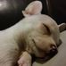 Stephanie Phipps - Facebook