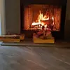stephaniephipps - @stephaniephipps - TikTok