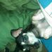 Stephanie Pitzer-Radomski - Facebook