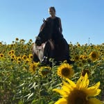 Pollak Stephanie - @pollakstephanie - Instagram