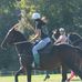 Steph Pollinger - Facebook