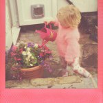 Stephanie Preece - @stephpreece2509 - Instagram