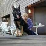 stephanie pucci - @natrlvr360 - Instagram