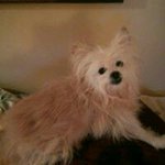 Stephanie Putman - @stephanie.putman.399 - Instagram