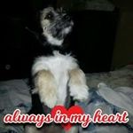 Stephanie Putman - @stephanie.putman.7549 - Instagram