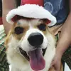 Stephanie Quach - @stephanie.quach - TikTok