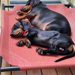 Stephanie Rector Morrison - @srectormorrison - Instagram