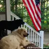 stephanieredding2 - @stephanieredding2 - TikTok