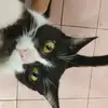 Stephanierex - @stephanierex0 - TikTok