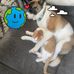 Stephanie Rigby - Facebook