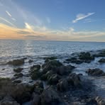 Steph Risner - Facebook
