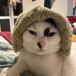 Stephanie Roach - @just_call_me_wimpole - Instagram