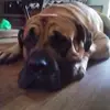 stephanieroach432 - @stephanieroach432 - TikTok