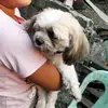 Stephanie Roca - @30682913185 - TikTok
