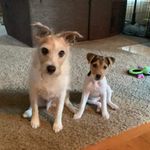 Stephanie Roeschke - @stephanieroeschke - Instagram